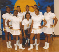 Top Notch Steppers